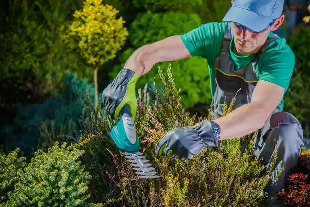 landscaping services Holbrook